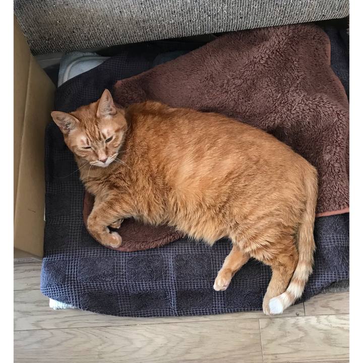 985d5d66 fc14 43d6 ab00 ba906b22df8e 1645066284462