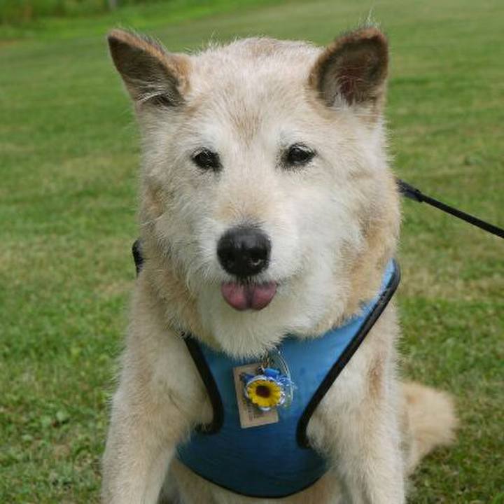 985d74c8 980f 45ca 864e 14d8f52d1bc6 1565130222381