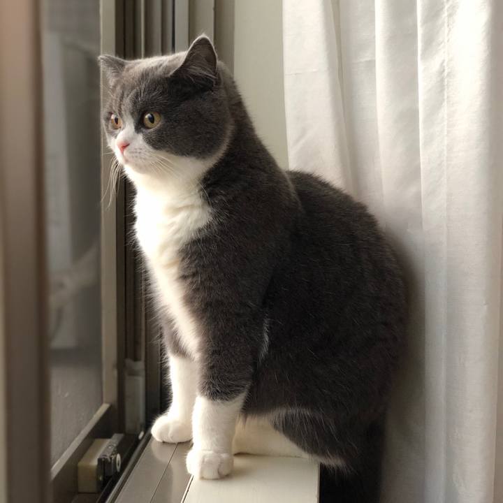 985dc5dc bad2 467b 84d9 0e2c936ecce0 1524454461789