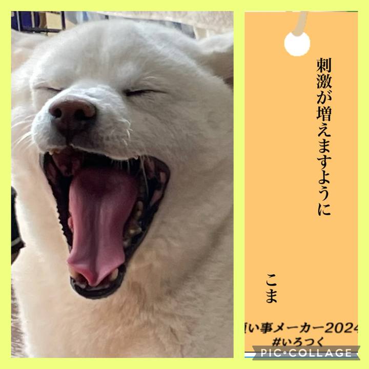 985dd22e 326c 4d22 988a a2cb5613511b 1720255766682