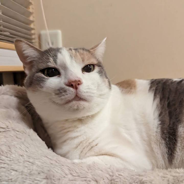 985deff9 6634 4ea9 8967 dfac912cedbe 1711598457614