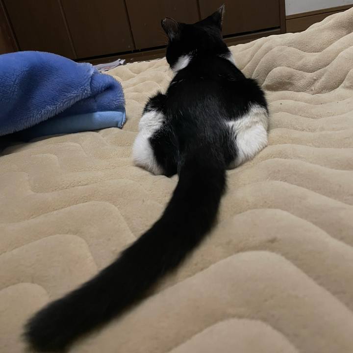 985e3235 84ad 40d0 b86e cac956b70520 1679206172681