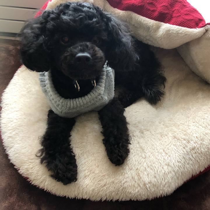 985e3e8b a0ac 4dfd 811d 1fcaebe4685f 1547384385992