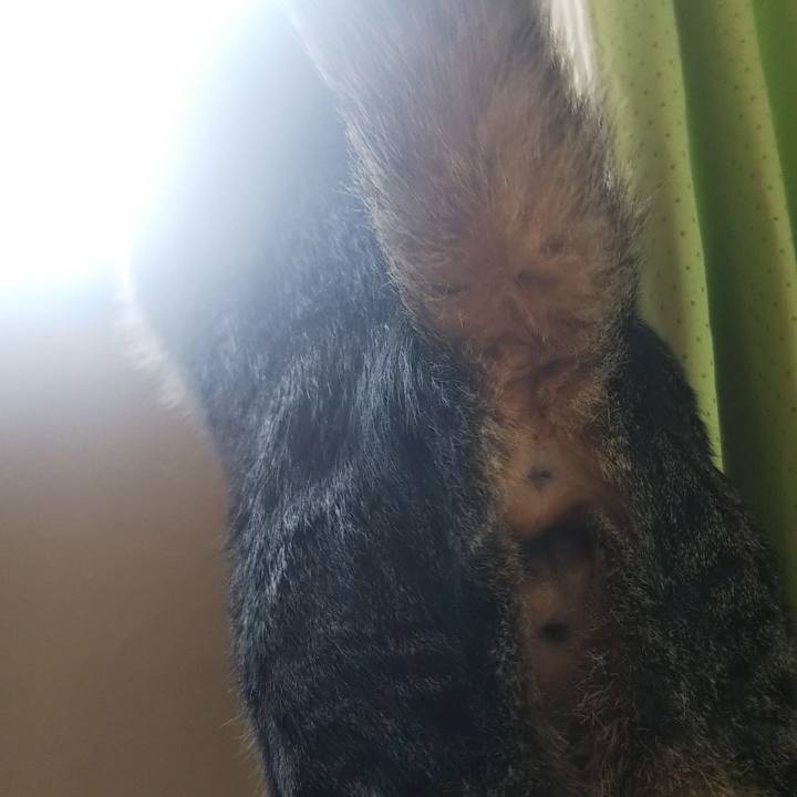 985e5268 3255 473b 83f6 bd0bae24408a 1613697943269