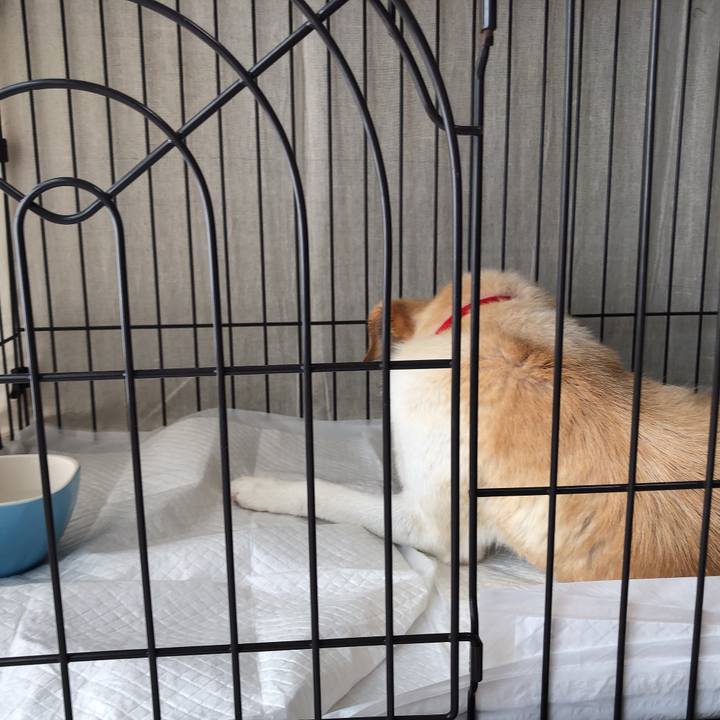 985e85d1 c41f 4554 a380 68083657fdd5 1623316974702