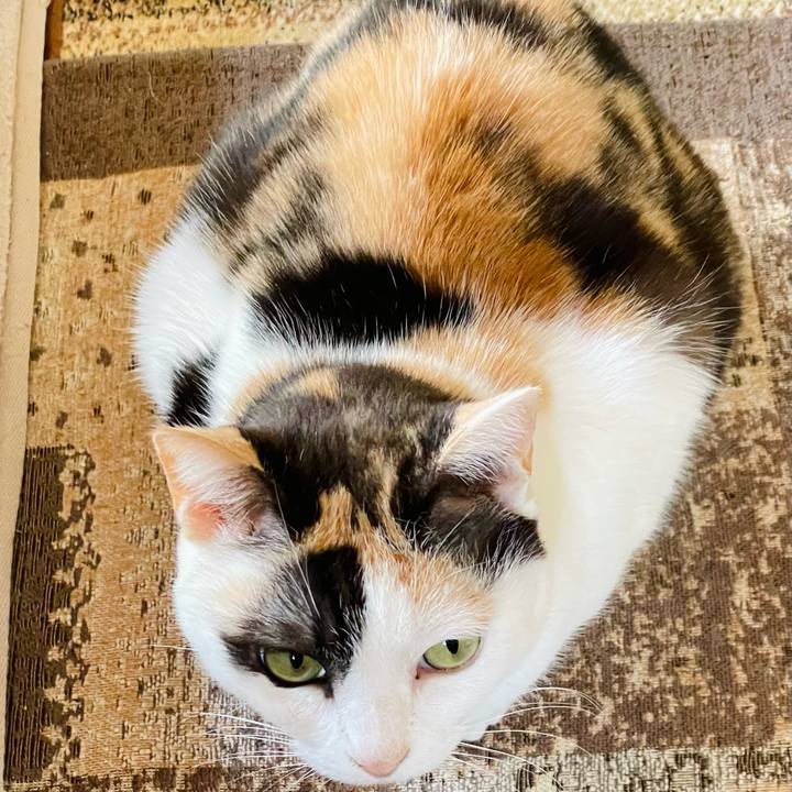 985e99a3 1dd2 444a a799 e48e06302b5d 1650159758850