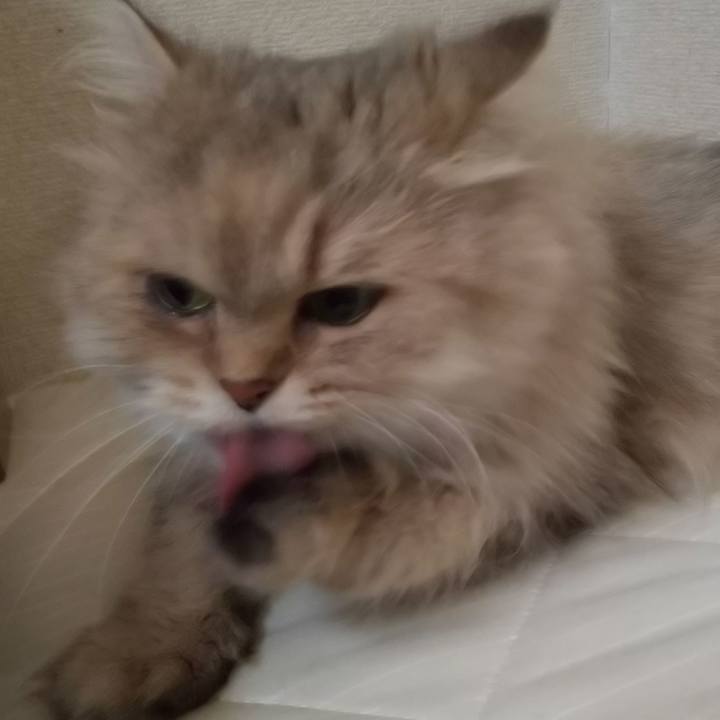 985ea44c 17b4 4a92 a9e7 6ce4d3f8d7e1 1632367544135