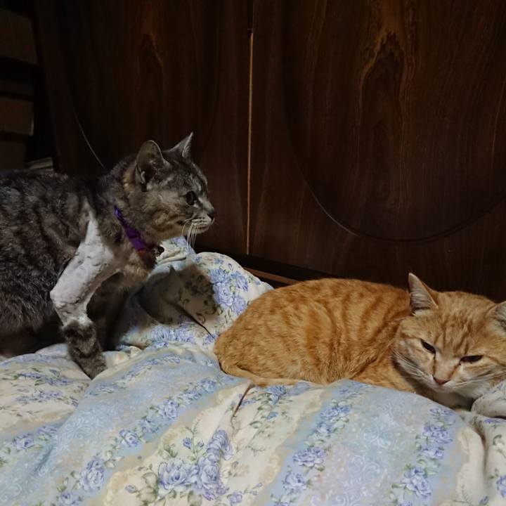 985ed664 0edc 4d60 be76 2641b1aaefcf 1588334857396