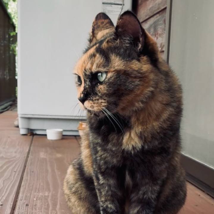 985f470b e501 49b8 8c51 a2648a04175b 1757208853112