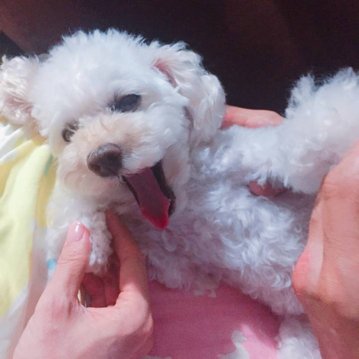 985f474d 36be 4df1 85b5 1824ed498a37 1536152436842