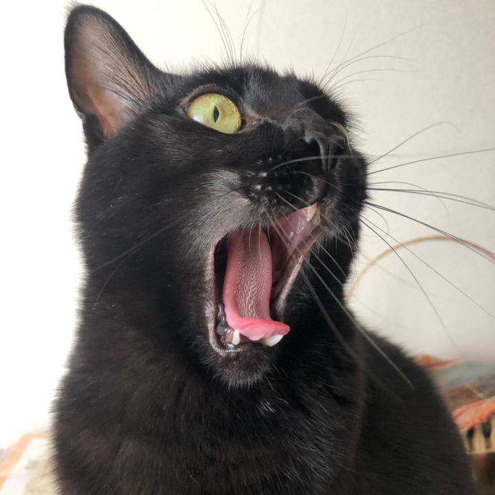 985f6c32 2b19 47b7 92d8 8fee8505bee1 1575160736099