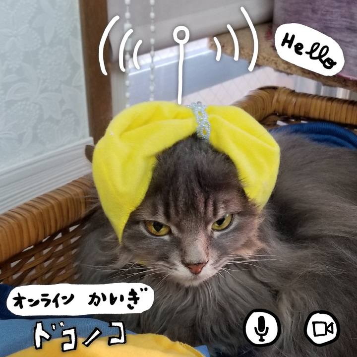 985f7222 2877 48ec 8f3c ef67f5c67fbd 1591349610011