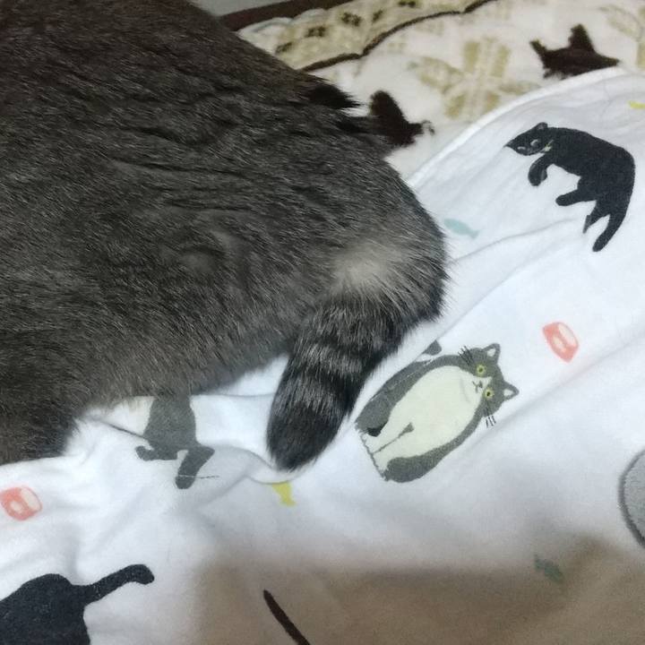 985fbe7c 25e2 4708 b330 4dda61e11aa2 1608389670752