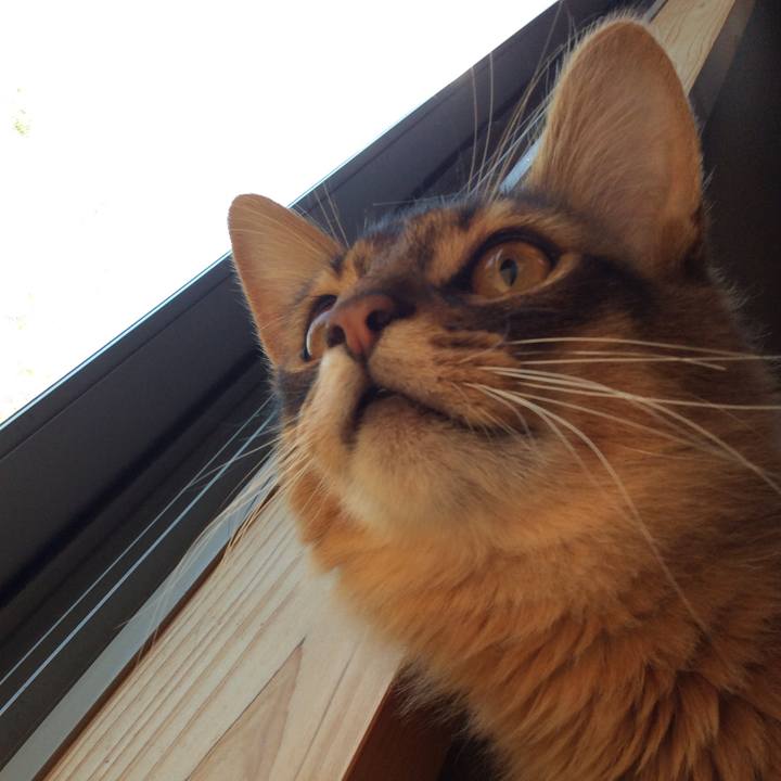 98603659 fec9 4899 a643 6764c6fbd4af 1588310377367