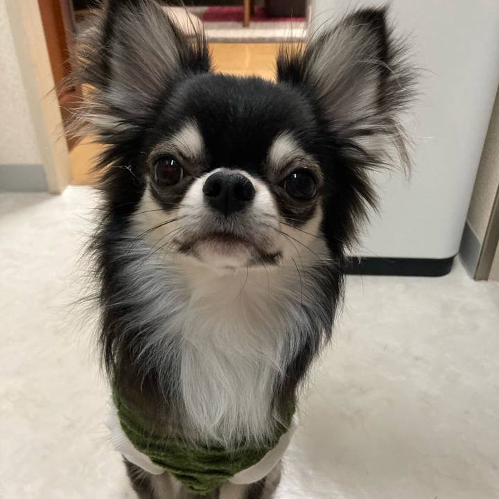 98604c5a a44c 4d6b 80a9 fb1bf3e0a99c 1611480064890