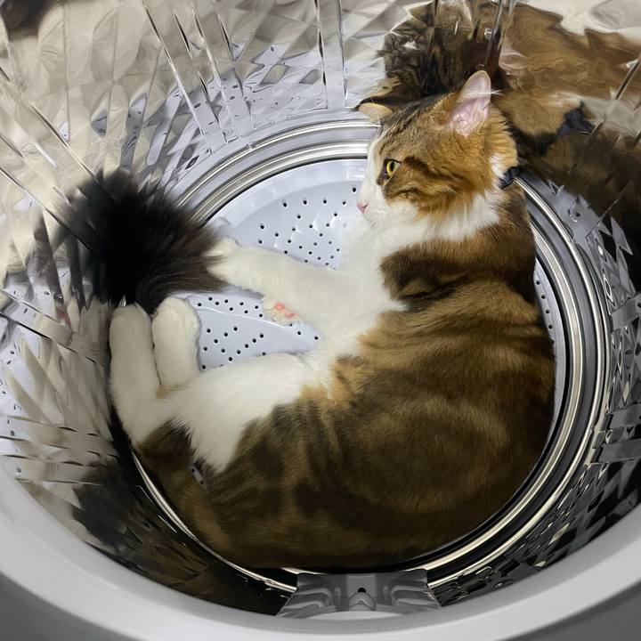 98604cdf bf09 4fd8 a94a 38a13887ae26 1661341888659