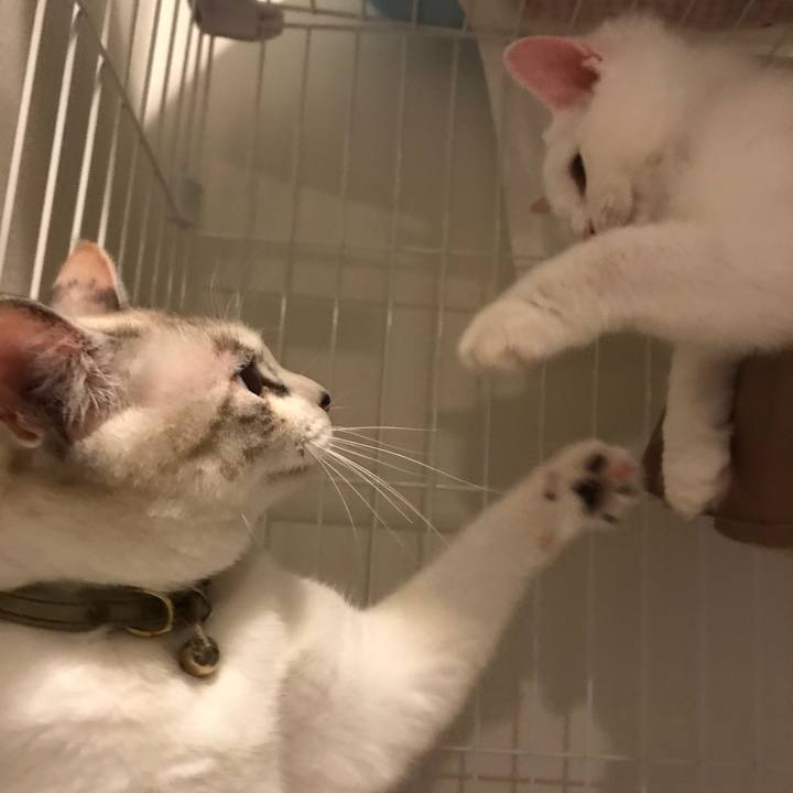 98606a3c b4ab 44c7 904c b3facbd566bd 1509544314137