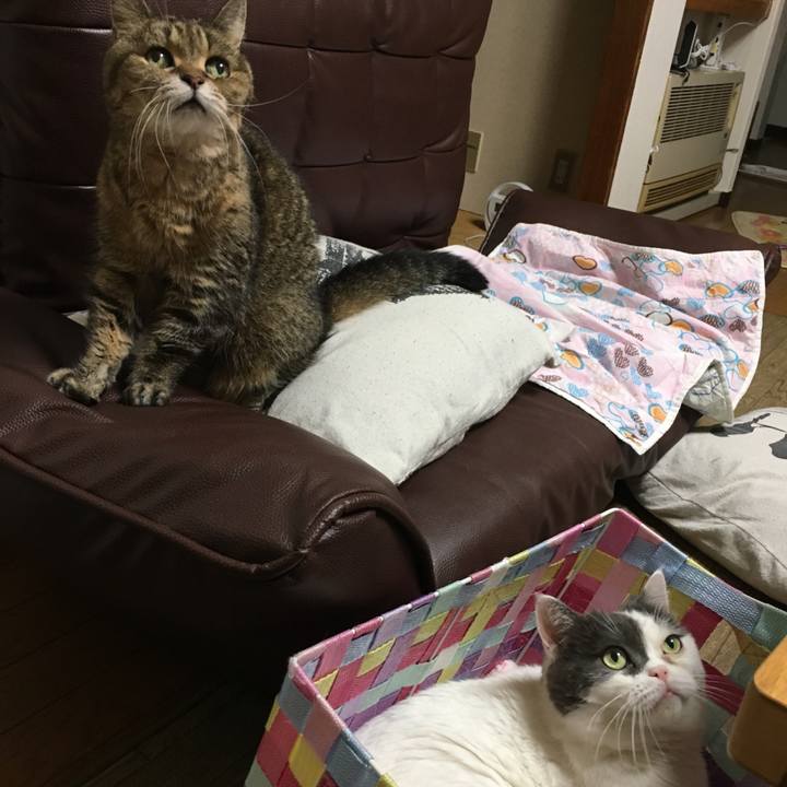 98606ab3 b3af 46bd 9fbb 931608206def 1508319618719