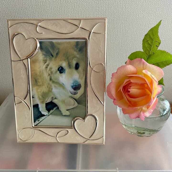 9860881a 2995 4b45 b8d7 b2f7657372d1 1682143629904