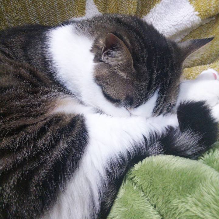 9860918e 9a4a 4126 991e 88f3b03cf7b2 1648523874159