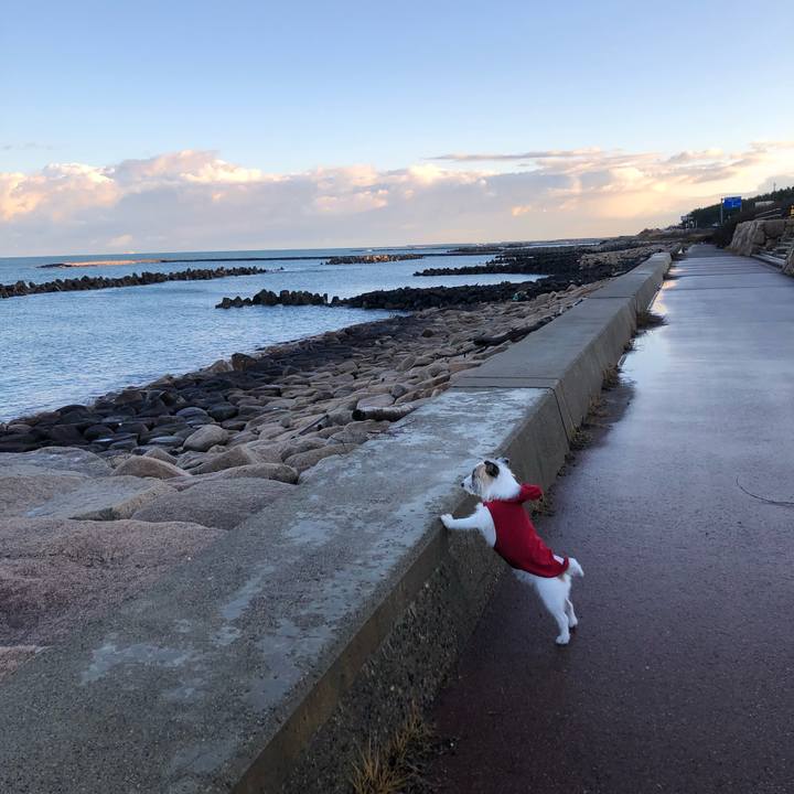 9860ad7a bfda 4a41 98a6 bb8d09daa4e1 1608679892269