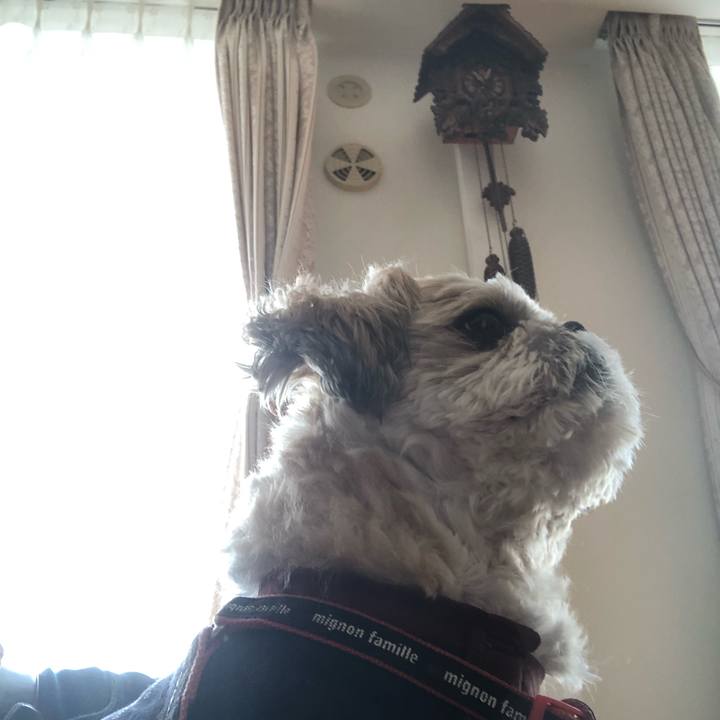 98614c73 fd32 49c5 9a52 5a33be0e42ad 1613519485378