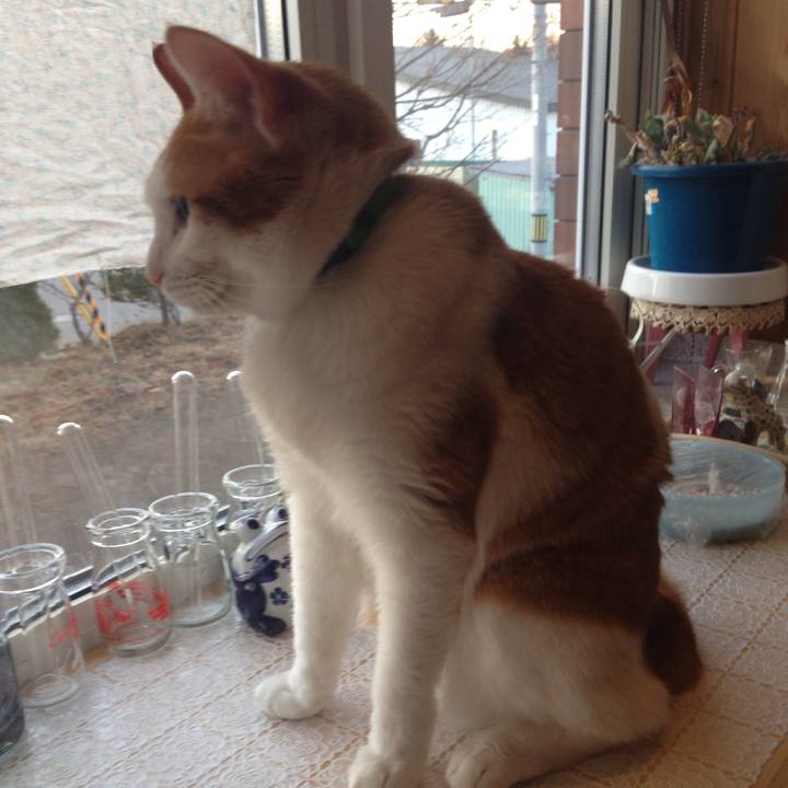 98615d59 598f 4da8 a19a 5c4636c58ae8 1511992390866