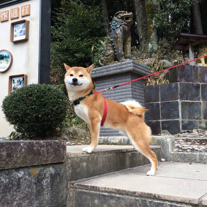 986188d0 9f67 4ed3 8091 c979e1b4a149 1538910931561