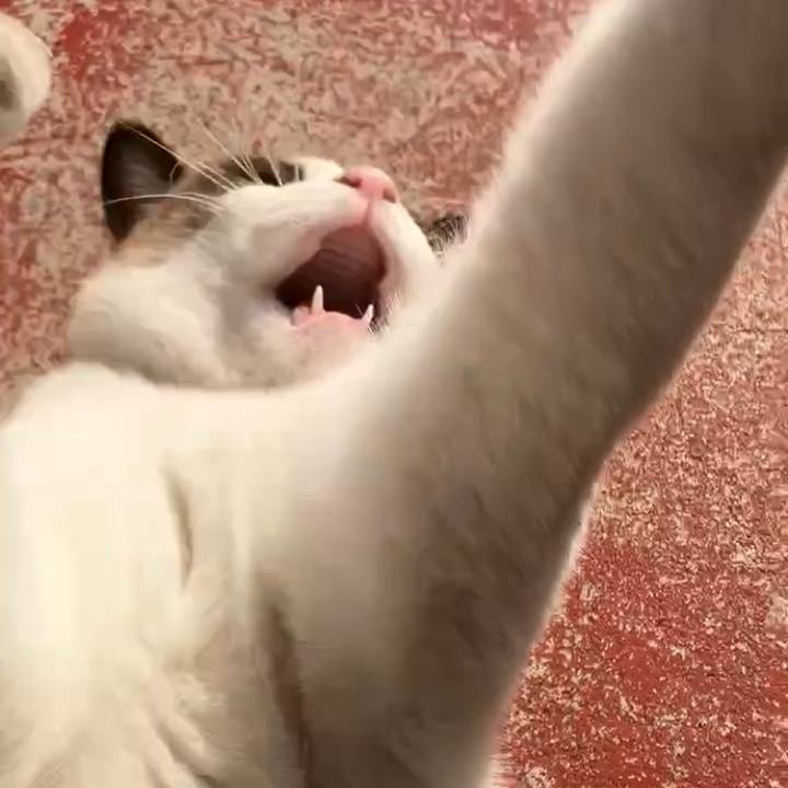 9861a48f 52ab 4a06 89b2 b0413bc6ba1c 1734403130935