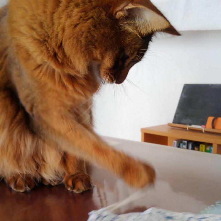 9861bf92 38f7 4fbf b100 f62be81bc9ec 1617690552050