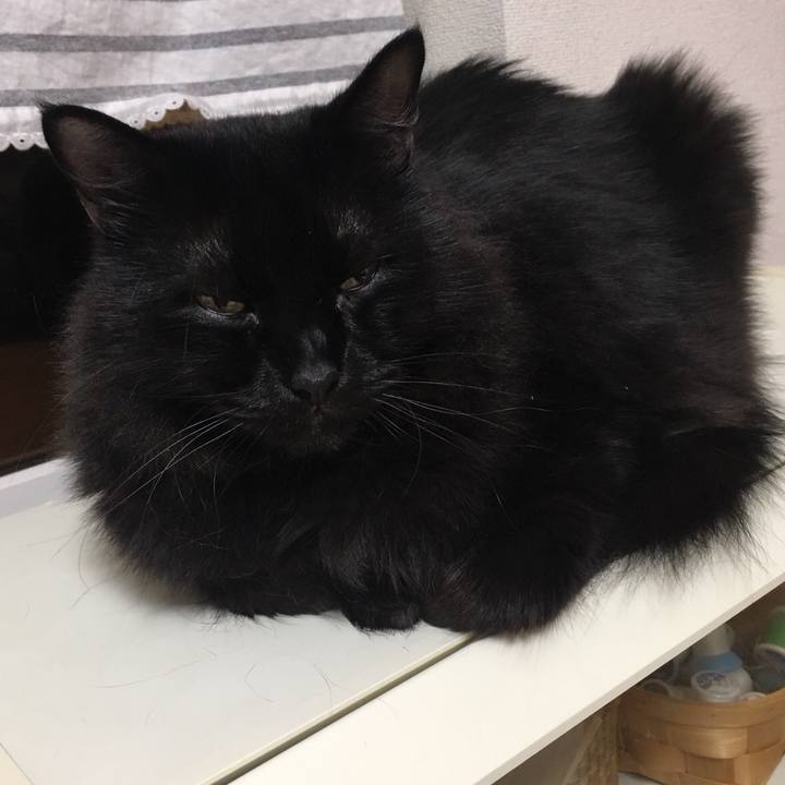 9861e20a 7917 4dd1 a2cb a6c28f8a0952 1564237105878