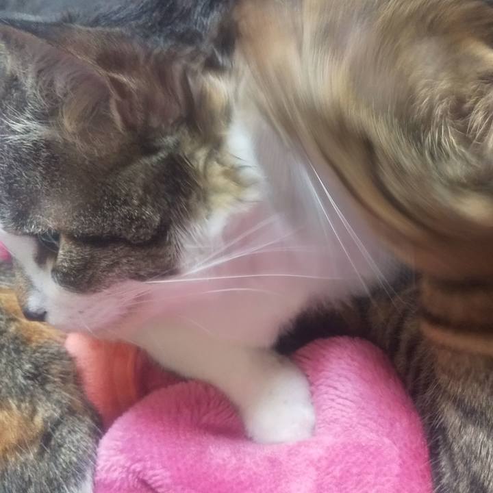 98626ce4 96e0 41d7 ad83 75d76b17656a 1685101088078