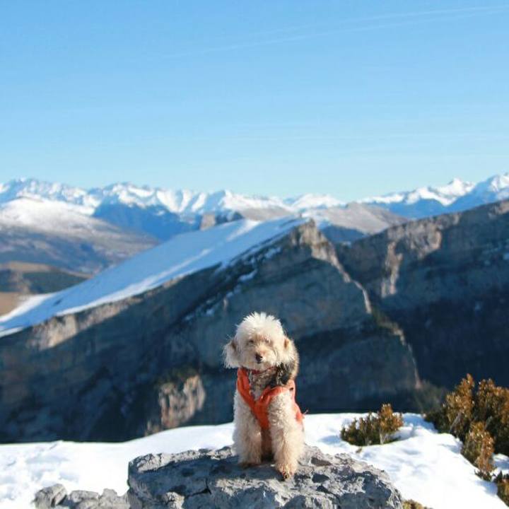 9862ac46 49fd 4b45 b665 e8686971ee4e 1578925831267