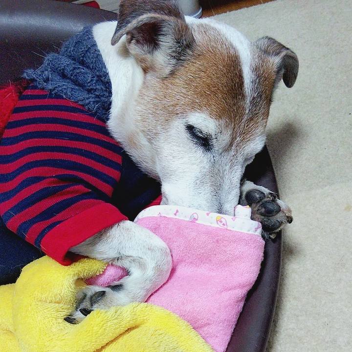 9862d0fd fee7 4298 bfe1 b7f65207e64f 1579436015555