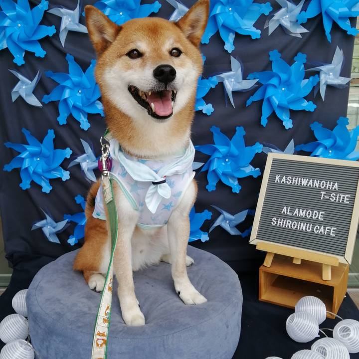 9862dc77 feb5 4d76 a918 a58d1a9fff5d 1626080047221