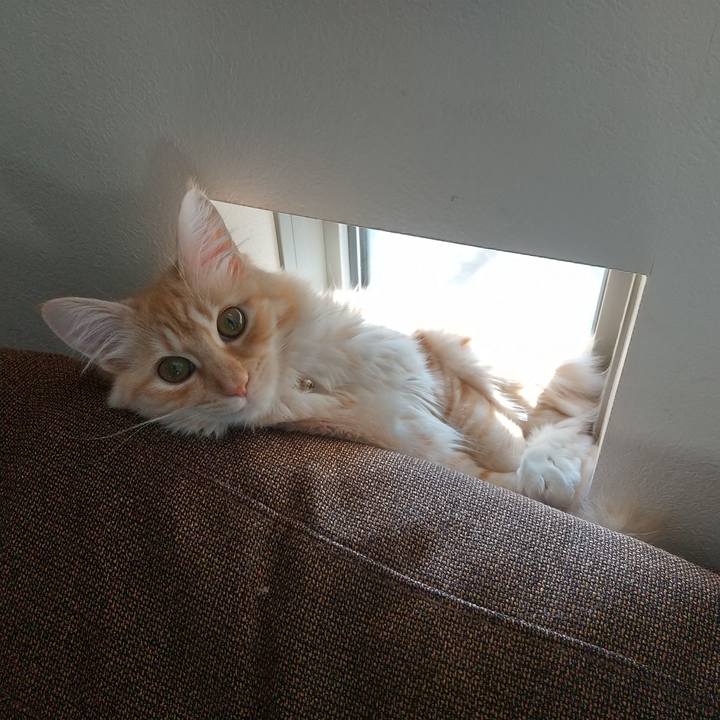 9862eccd a326 48a4 b769 61caf03e93c9 1617939694206