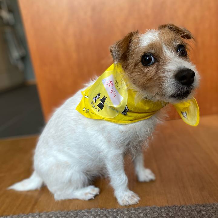 9863542f cb18 4580 8706 c86e566c6a48 1606653499522