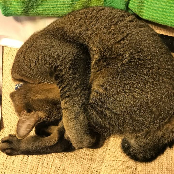 9863709a ff2b 4c01 8993 106158765cdc 1541769016615