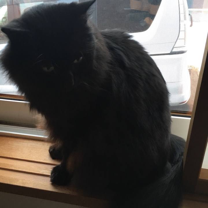 98639e85 4b86 4115 b224 b90dcc8db838 1545008062177