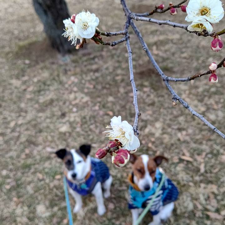 9863a529 f62e 4500 8fca 6f6bced3357c 1644145148582