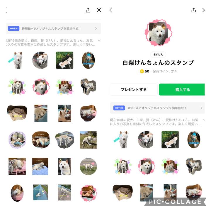 9863bc05 b1c7 4431 811d b6152f22164d 1647776178087