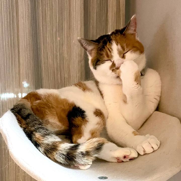 9863d90d f525 4a3e bc77 d3d3ffc70d39 1704538998642