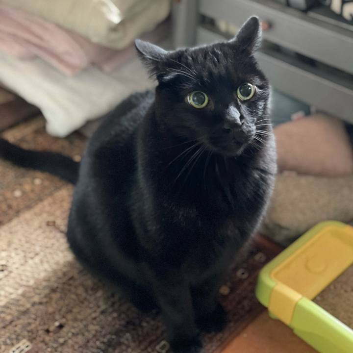 9863e2a4 445d 4d77 b7c6 d3a318c58784 1613526768023