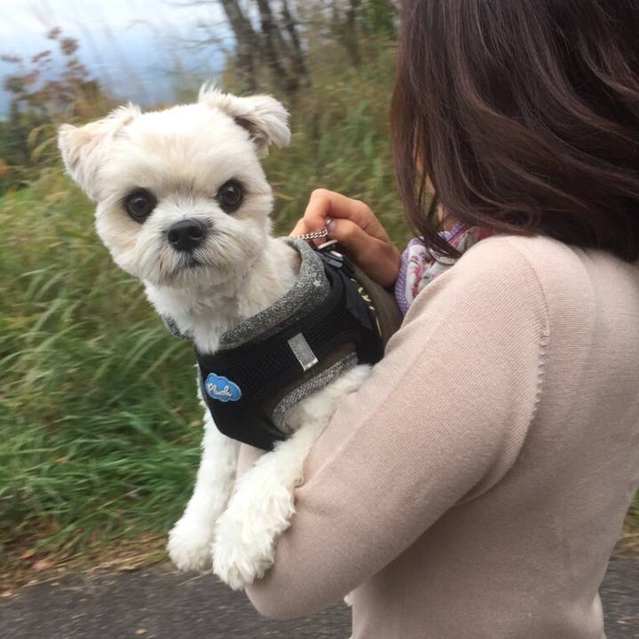 9863f681 30fa 4d33 b2cc 931b83bfb8b0 1510140250834