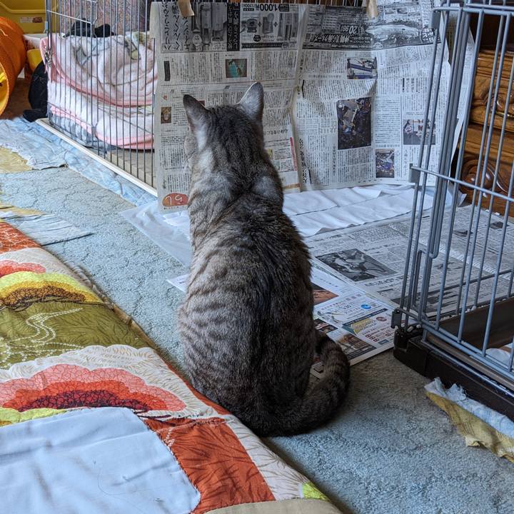 9863f8b3 7d03 4c73 b3c4 48f8e1be4d3e 1714829997198