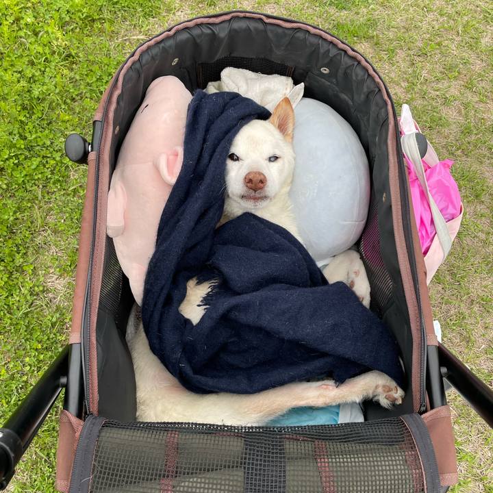 98641e29 ab62 48e3 b3d7 93b8c46a574c 1680179228249