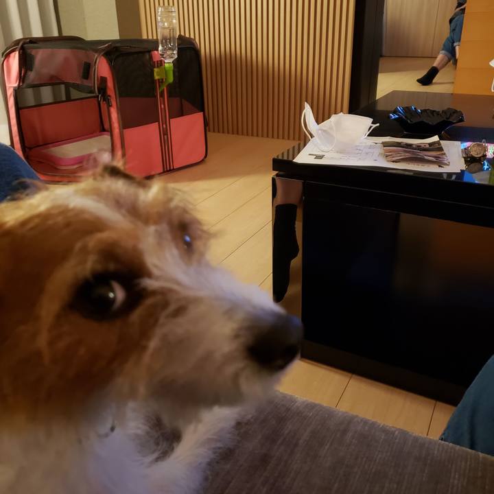 98642866 9566 4841 a8a9 8f1624a638b2 1601685116619