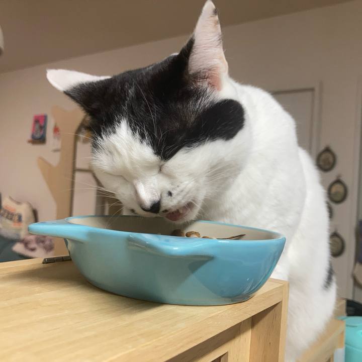 98647100 abf5 4ad0 8582 298b4b237326 1766350394057