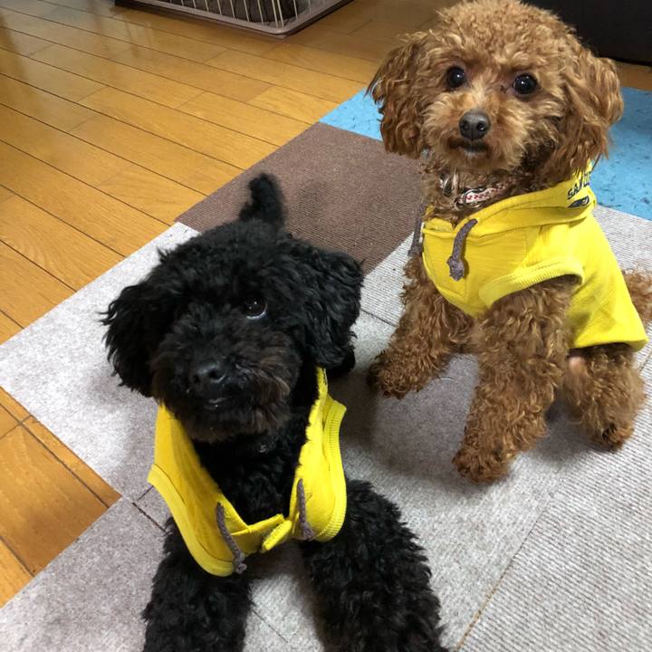 98647855 95fb 4ce2 a3b8 c6c627a028db 1520374863336