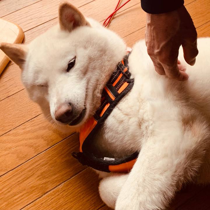 98649e8b 796d 4468 8170 57b32058a464 1616649544666